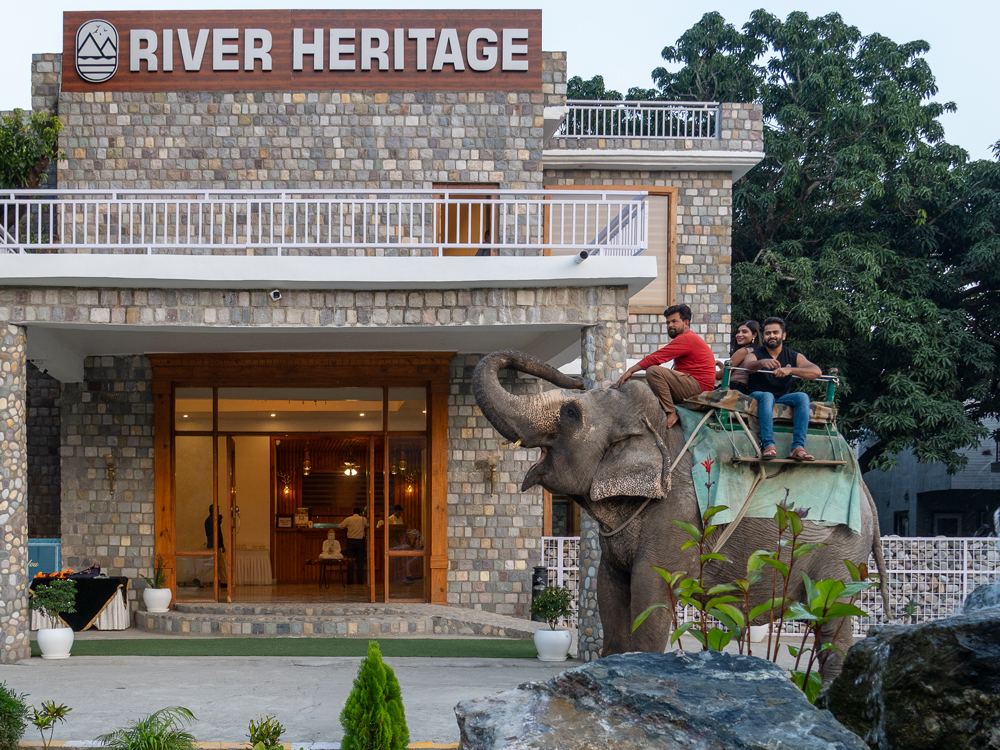 Elephant Ride
