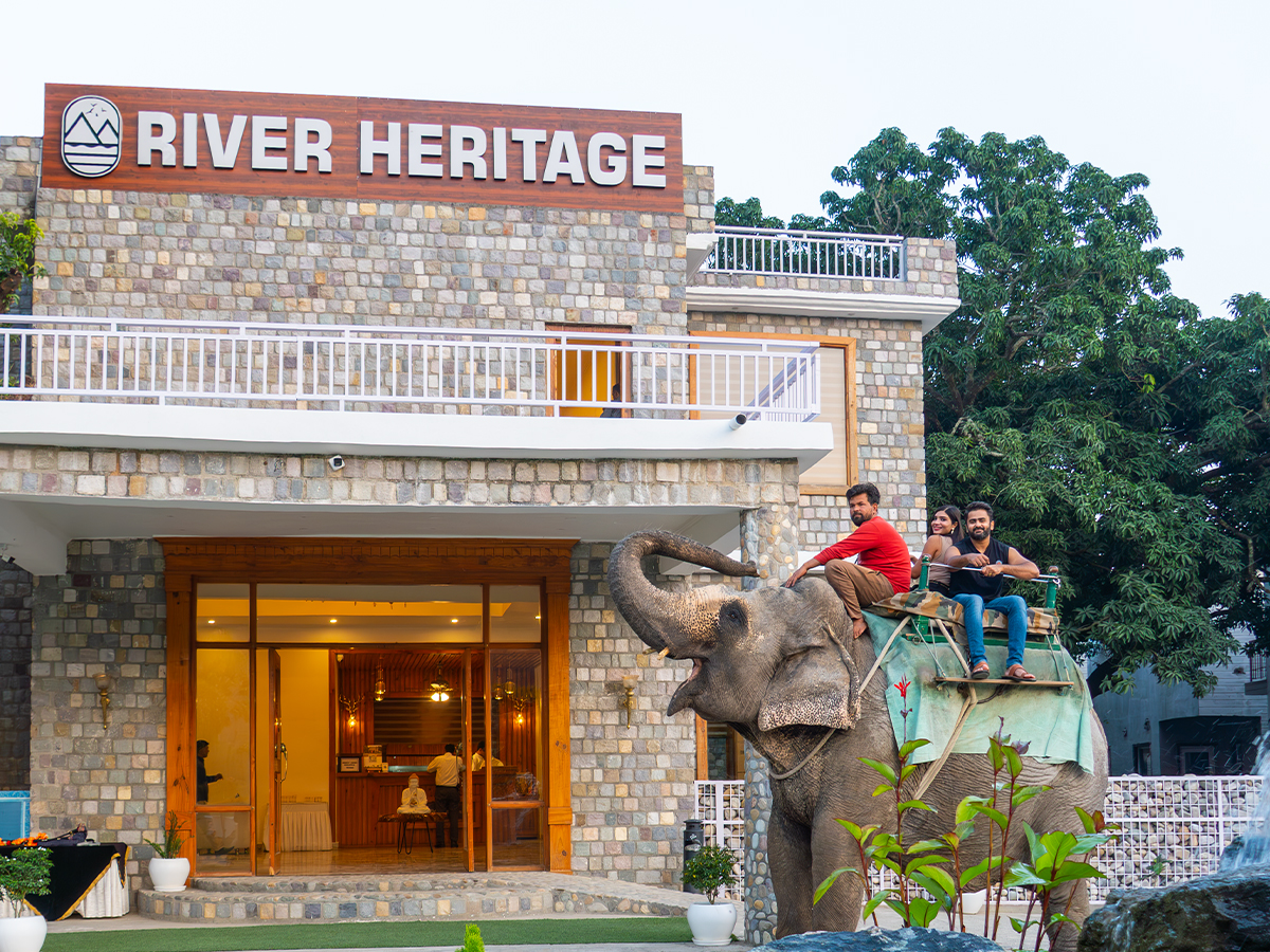 Elephant Ride