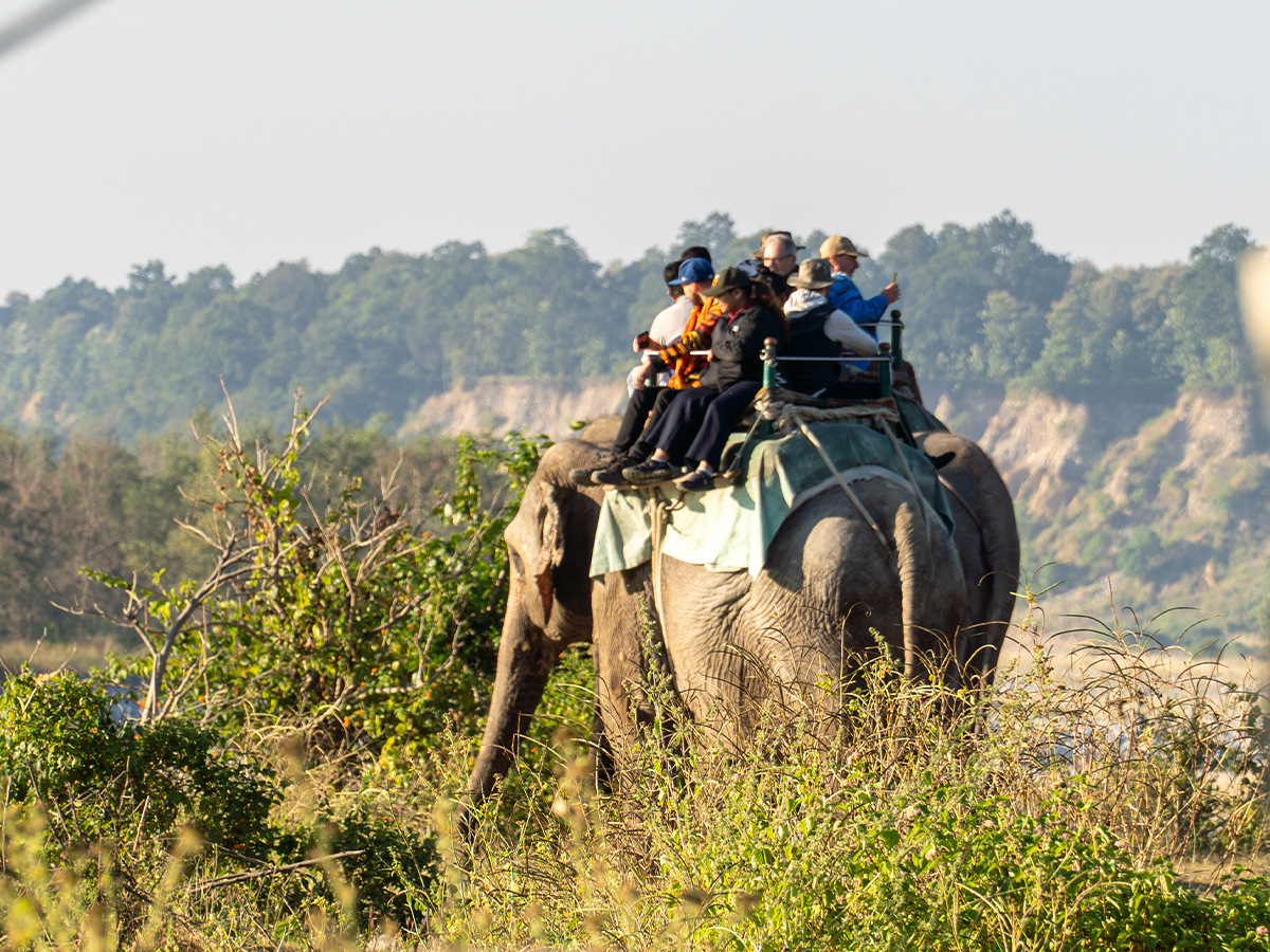 Elephant Ride